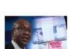 Naira redesign: CBN deadline insensitive, spells doom for country’s economy – Experts