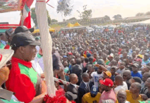Benue: Mammoth crowd as Ortom, Suswam, Abounu, Uba kick-off PDP statewide