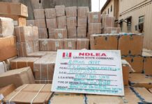 NDLEA busts another Tramadol cartel, seizes over N5billion Opioids in warehouse