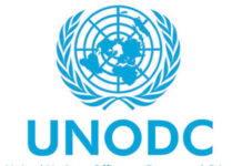 UNODC: Cocaine trafficking diversifying through new hubs and groups, with global supply at record levels.