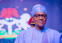 THAT MALARIA DREAM OF INTERIM NATIONAL GOVERNMENT