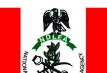 NDLEA extends close of recruitment application portal by a week