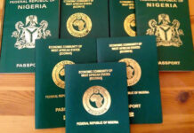 Nigerians don’t need agents to apply for international passports—NIS