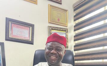French and the New Strategic Partnership with Nigeria: A Departure from the Old Order – Prince Nixon Okwara