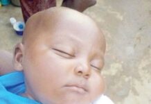 Baby miraculously protected by bees after bandits kill mum in Niger State – See details.