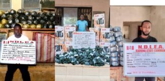 NDLEA uncovers meth, opioid consignments in jeans hems, dolls, buttons