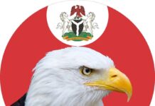 EFCC Arraigns Businessman For Alleged 105m Fraud