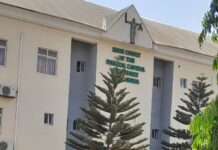 Certificate Forgery: House Of Reps member, Rita Orji has a case to answer – Court