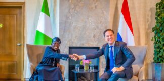 Tinubu meets with Prime Minister Mark Rutte of Netherlands, seeks enhanced trade opportunities