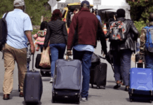 Japa no more: Keeping Nigeria’s brightest at home