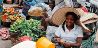 Combating Nigeria’s food crisis: Lessons from Africa and Asia