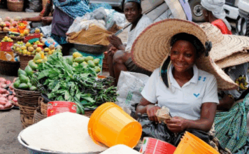 Combating Nigeria’s food crisis: Lessons from Africa and Asia