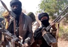 Suspected bandits reportedly abduct many in Katsina village