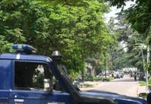 Government forces thwart attempted coup in DR Congo