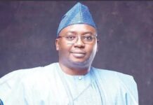 Nigerian govt to provide 10m meters to electricity consumers — Adelabu