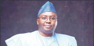 Nigerian govt to provide 10m meters to electricity consumers — Adelabu