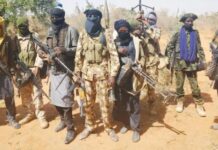 Suspected bandits kill 24 in Katsina communities