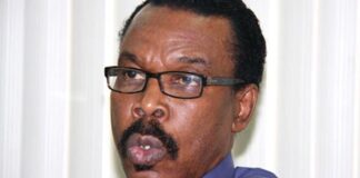 Rewane justifies impending increase in tariffs for MTN, Glo, others