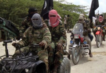 Multinational troops kill suspected Boko Haran fighter on Chad Island