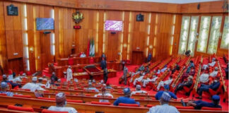 Senate refutes claims of fixing own salaries, receiving special fiscal packages