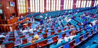 Reps to probe absence of data on expatriates living in Nigeria