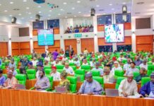 Reps commence probe into escape of detained Binance executive