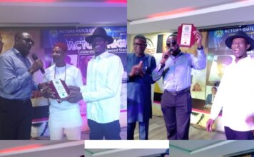 AGN honours CEO Ruzu Herbals, celebrates Nollywood veteran Emeka Ike, Sunny Macdon, Prince Emeka Ani, Victor Osuagwu, others