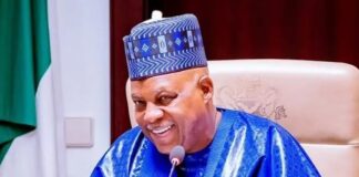 Nigeria will survive with good governance, not by change in the system – Shettima