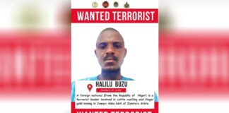 Nigerian military declares Nigerien, Halilu Buzu, wanted for terrorism