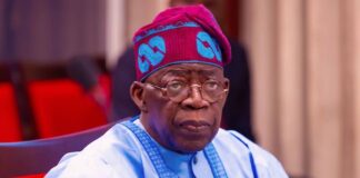 Tinubu approves 555 appointments to governing boards of Federal Tertiary Institutions