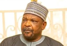 Just in: Senate recalls Senator Ningi after 77 days