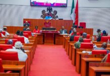 Senate accuses governors of killing Local govts