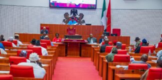 Senate accuses governors of killing Local govts