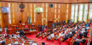 Senate to probe death of 20 miners in Niger