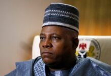 Tinubu’s govt will not blame Buhari for challenges – Shettima