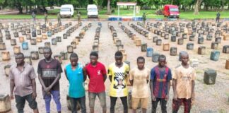 Troops arrest 8 Nigerians smuggling fuel to Cameroonian rebels