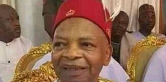 Billionaire Arthur Eze drums up support for Tinubu