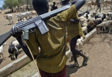 Suspected herdsmen reportedly kill three farmers in Benue