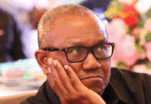 ‘There’s nothing unique about Peter Obi’, Omokri lists ten ex-govs better than LP candidate