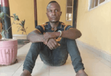 Nigerian Army arrests soldier for allegedly stealing 602 rounds of ammunition in Borno (Video)