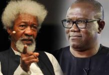 SocialMediaTrends: Nigerians descend on Soyinka for ‘unfairly critiquing’ Peter Obi