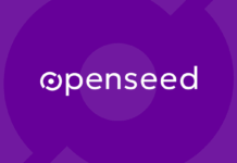 OpenseedVC launches $10 million fund for African startups