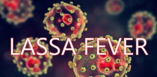 Nigeria records 7 new Lassa fever cases in three states