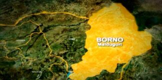 Abducted Borno judge reportedly regains freedom after 76 days