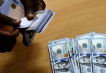 Diaspora remittances dropped by $18m in Q1 2024 – CBN