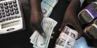 Naira slumps marginally at official, parallel windows