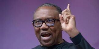 Peter Obi disowns critics of national anthem spending, warns of misinformation