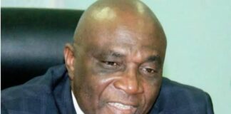 Tinubu’s aide, Onanuga, says Labour’s N494k minimum wage demand is ‘unreasonable’