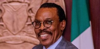 Rewane implores labour to reduce wage demands to prevent job losses