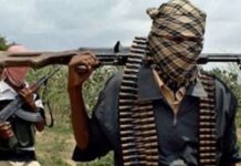Remaining 8 abducted Kogi varsity students rescued